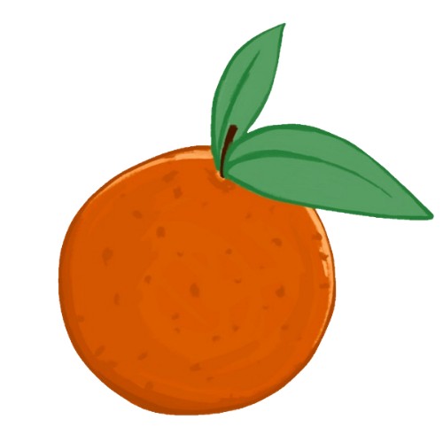 Napa Kids logo