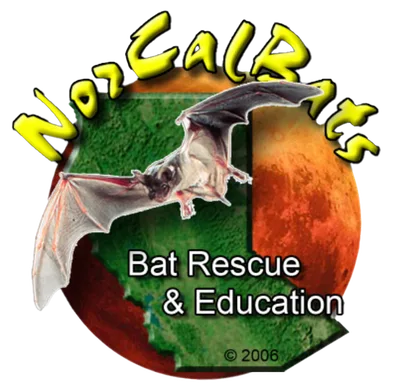 NorCal Bats logo